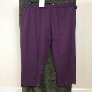 Hanes Plus Size Jogging Pants